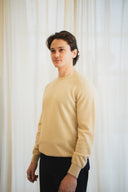 Classic Crew Neck Cashmere Sweater